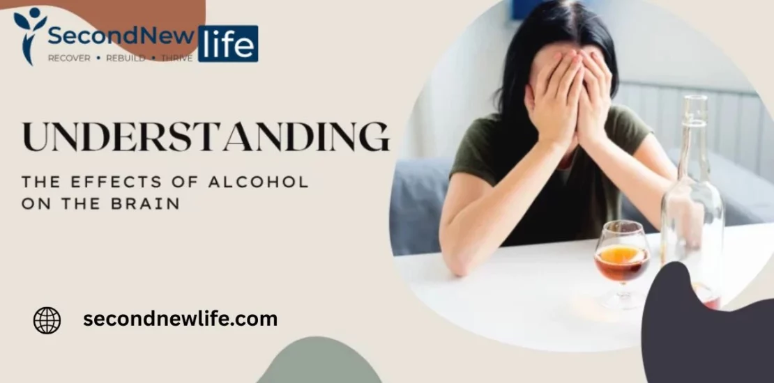 Effects of Alcohol on the Brain img