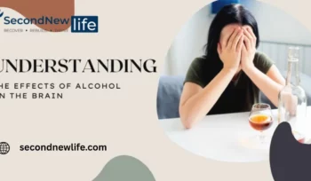 Effects of Alcohol on the Brain img