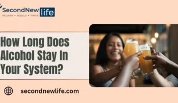 How Long Does Alcohol Stay In Your System img.