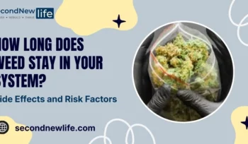 How Long Does Weed Stay in Your System image