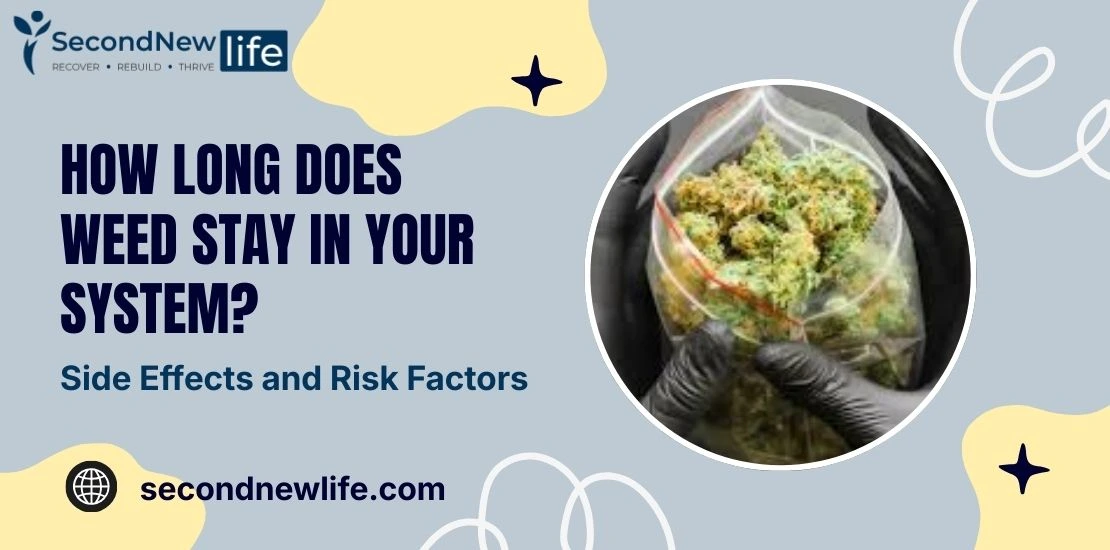 How Long Does Weed Stay in Your System image