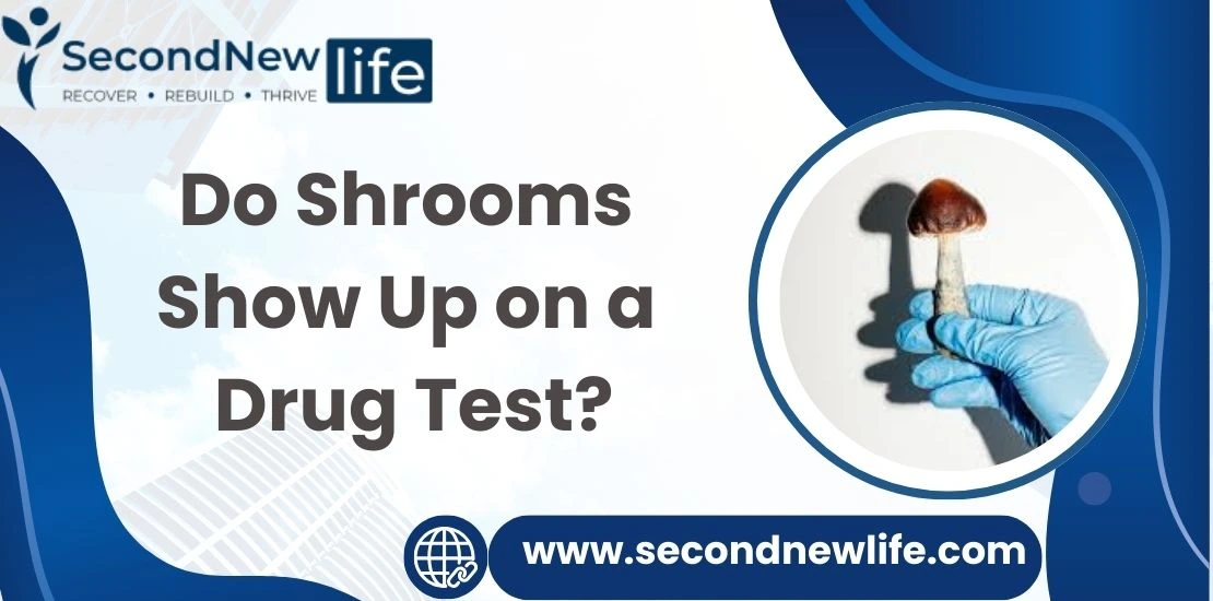 ¿Aparecen los hongos en una prueba de drogas? Descripción detallada del tiempo de detección. - SecondNewLife