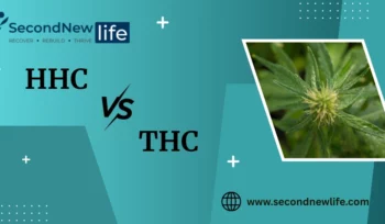 HHC Vs THC Blog Image
