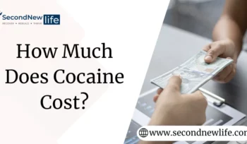 How Much Does Cocaine Cost