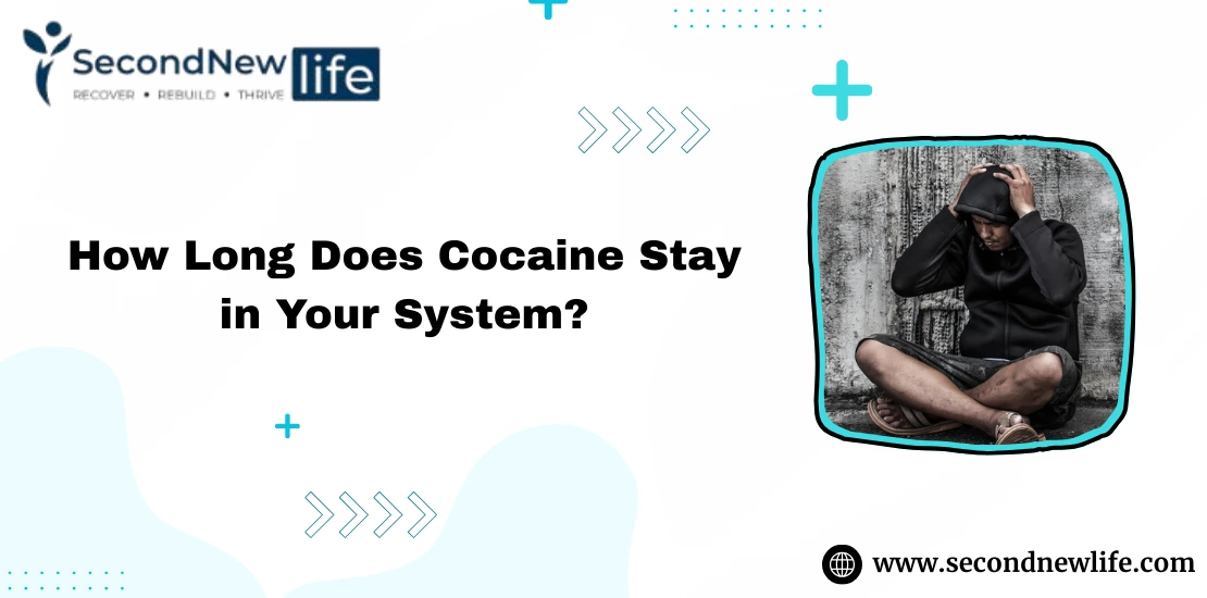 How Long Does Cocaine Stay in Your System image