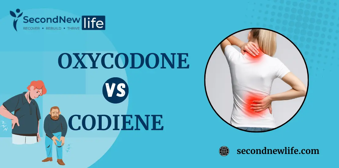 Oxycodone vs Codeine Feature.Image