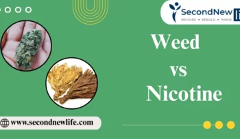 Weed vs Nicotine Blog Image