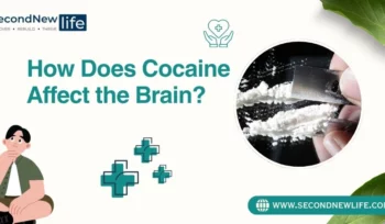 How Does Cocaine Affect the Brain.image