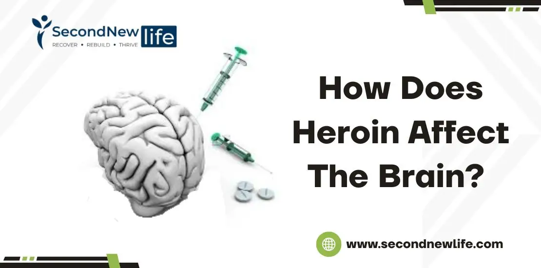How Does Heroin Affect The Brain