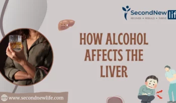 how alcohol affects the liver