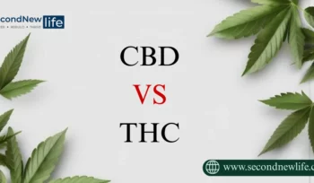 CBD vs THC