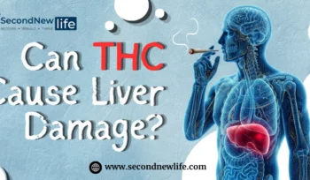 THC and liver damage image