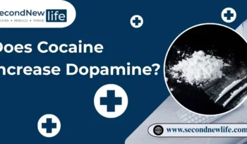 Does Cocaine Increase Dopamine image