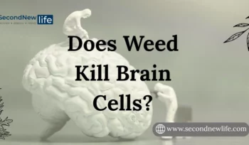 Does weed kill brain cells
