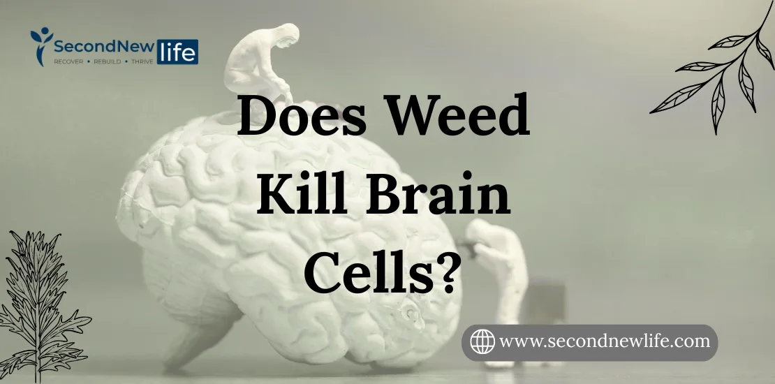 Does weed kill brain cells