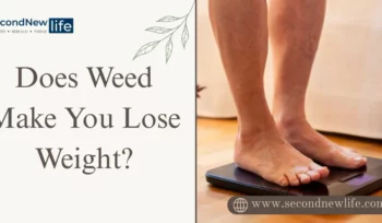 Does Weed Make You Lose Weight image
