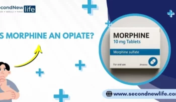 Is Morphine an opiate image