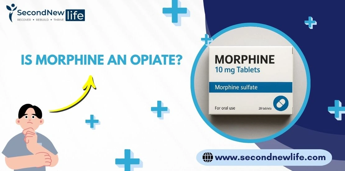Is Morphine an opiate image