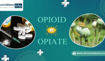 Opioid vs Opiate image