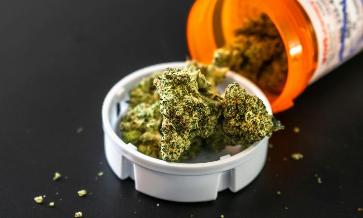 Marijuana Side Effects