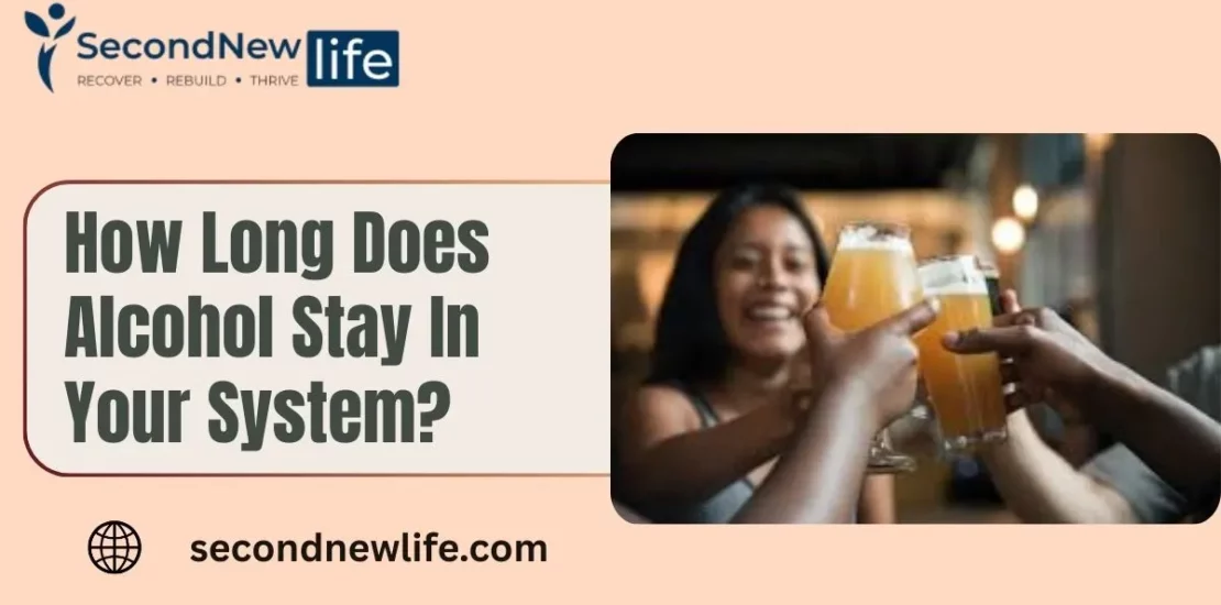 How Long Does Alcohol Stay In Your System img.