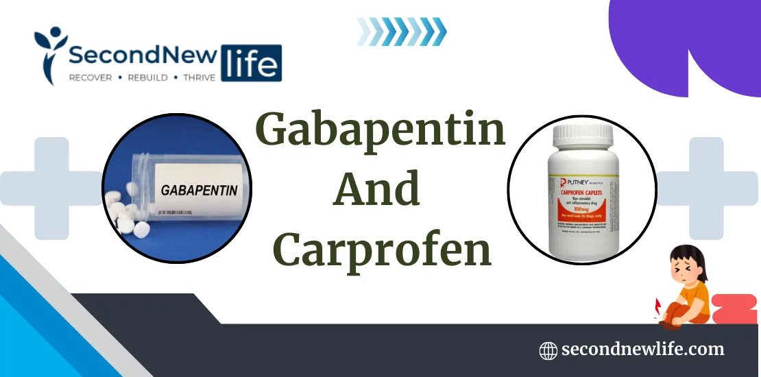 Gabapentin and Carprofen image