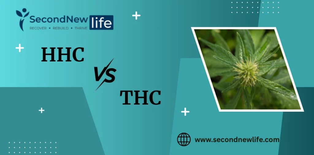 HHC Vs THC: Finding Which Is Stronger And Safe