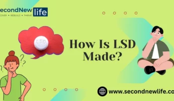 How Is LSD Made feature dimage