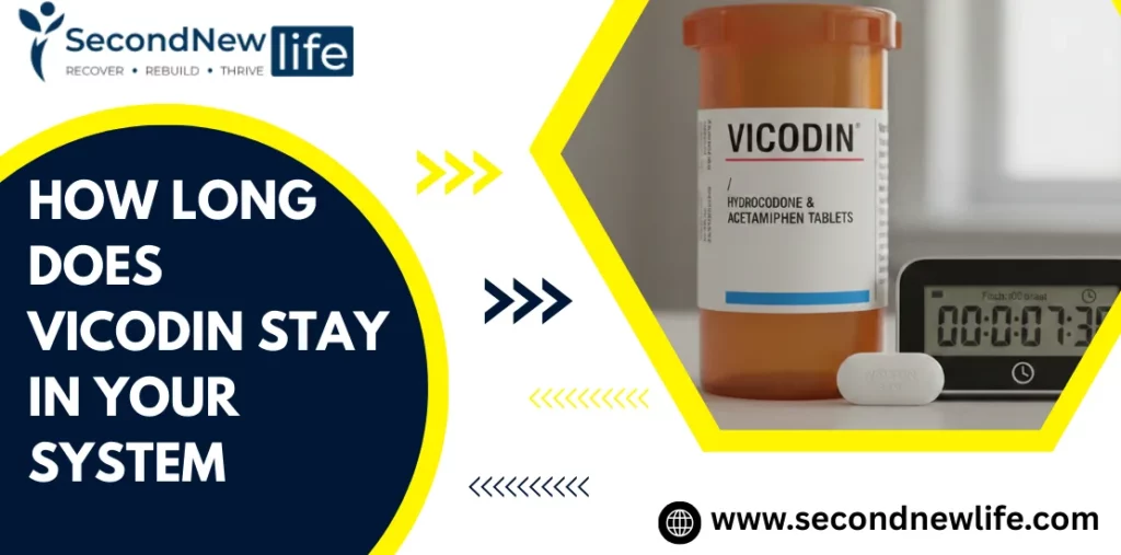 How Long Does Vicodin Stay In Your System image