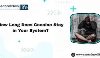 How Long Does Cocaine Stay in Your System image