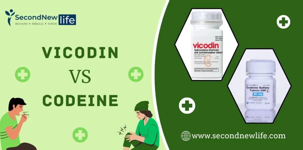 Vicodin vs Codeine: Opioid Addiction And Risks Involved