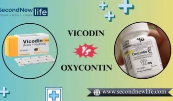 Vicodin vs Oxycontin.image