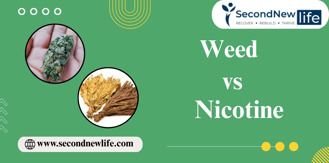 Weed vs Nicotine Blog Image