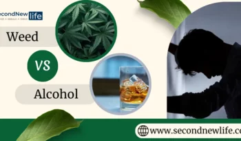 Weed vs Alcohol image