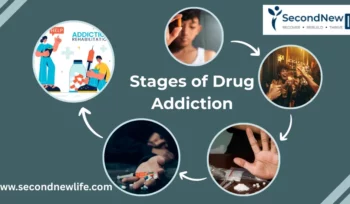 Stages of Drug Addiction image
