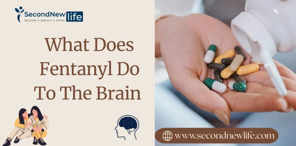 What Does Fentanyl Do To The Brain? Short- and Long-Term Effects Explained