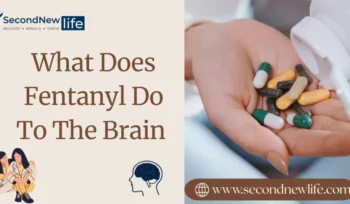 What Does Fentanyl Do To The Brain