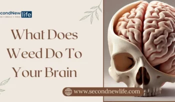 What Does Weed Do To Your Brain. Image