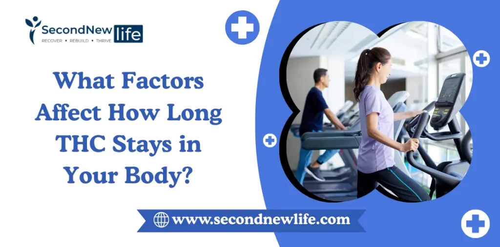 What Factors Affect How Long THC Stays in Your Body For Drug Tests?