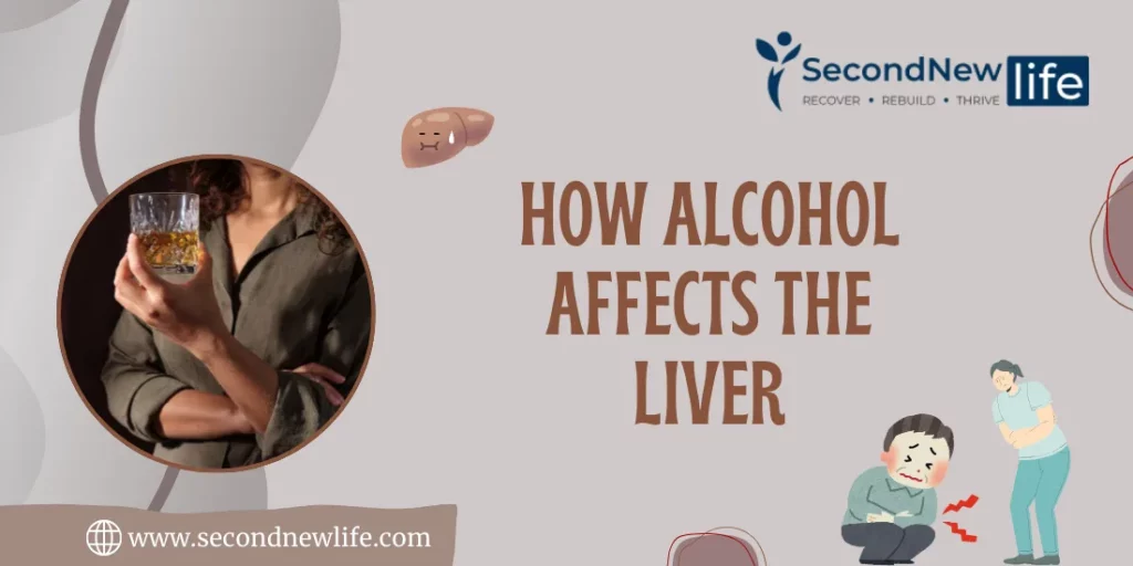 How Alcohol Affects The Liver? Signs, Risks, and Recovery