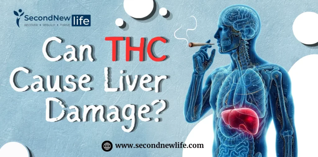 Can THC Cause Liver Damage? Risks Based On Research