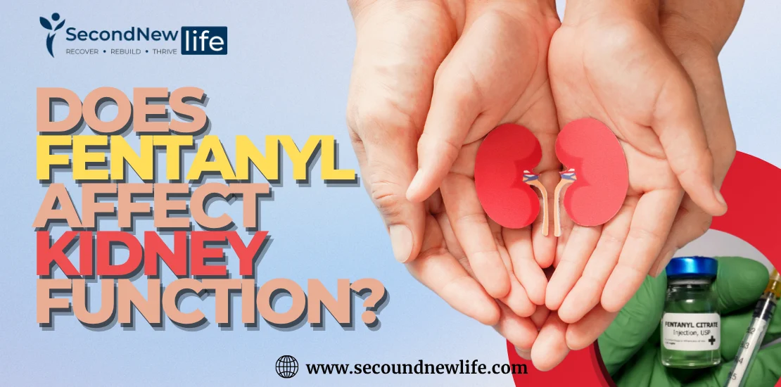Does Fentanyl Affect Kidney Function