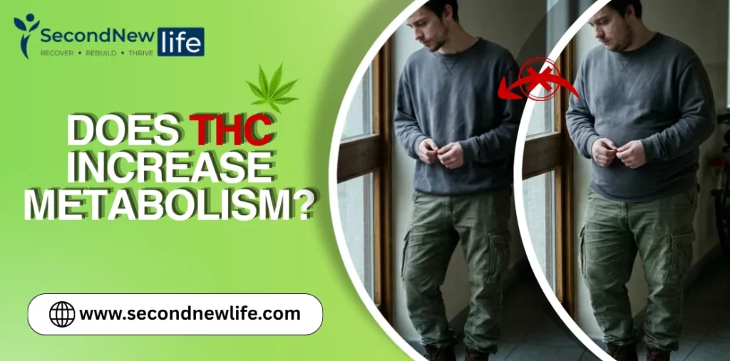 Does THC Increase Metabolism? Simple Science Explained