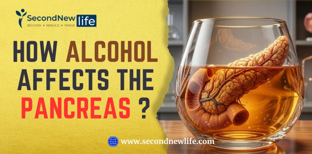 How Alcohol Affects The Pancreas? Risk, Damage And Recovery Tips