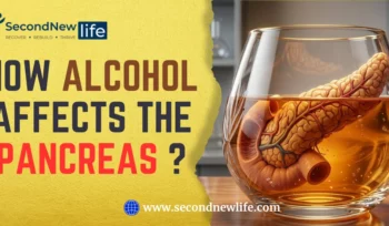How Alcohol Affects The Pancreas