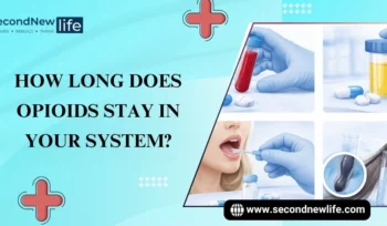 Opioids Stay in Your System image