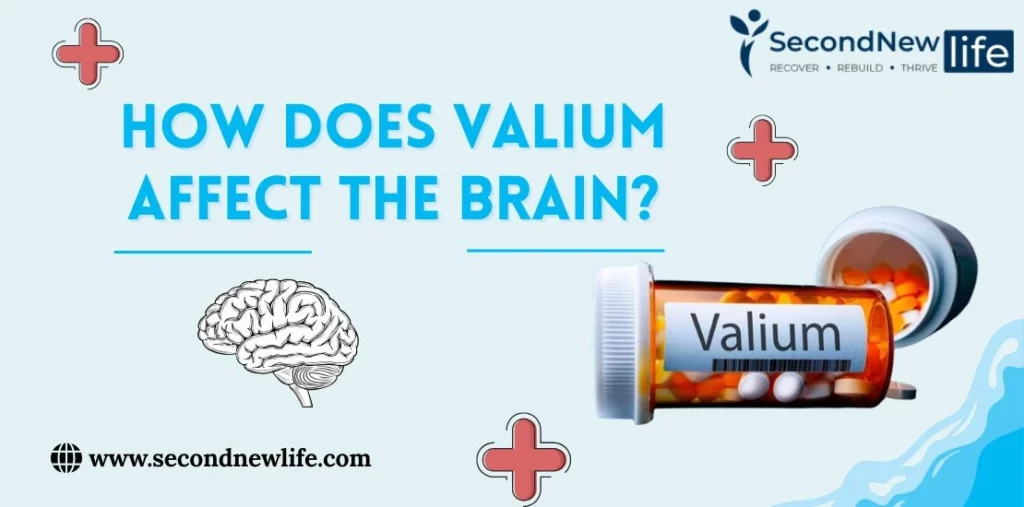 How does Valium Affect the Brain? Possible Side Effects & Addiction Risks
