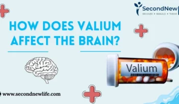 How does Valium Affect the Brain image