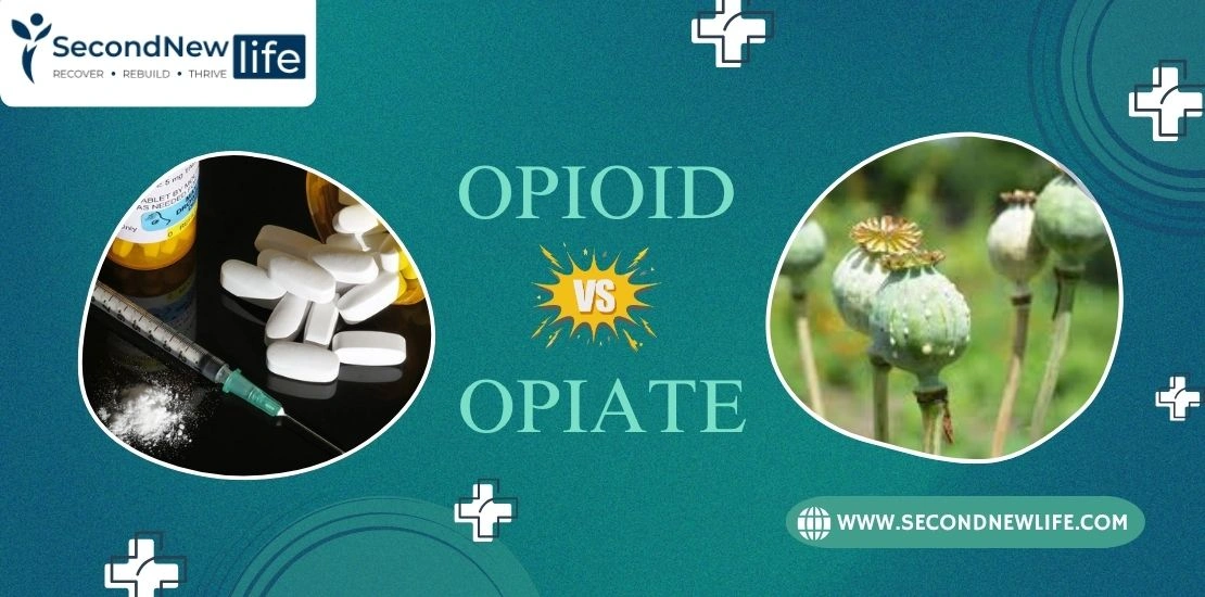 Opioid vs Opiate.image