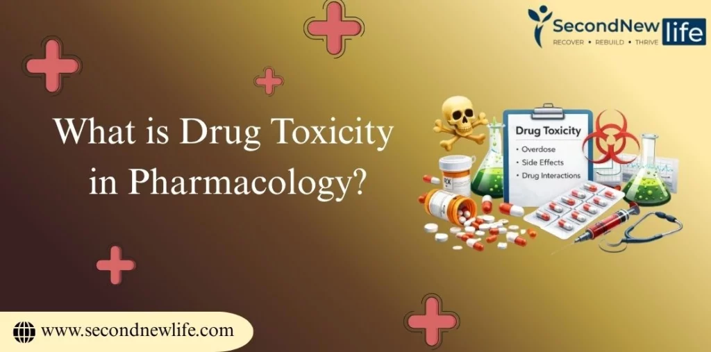 What is Drug Toxicity in Pharmacology? Causes, Symptoms & Treatment
